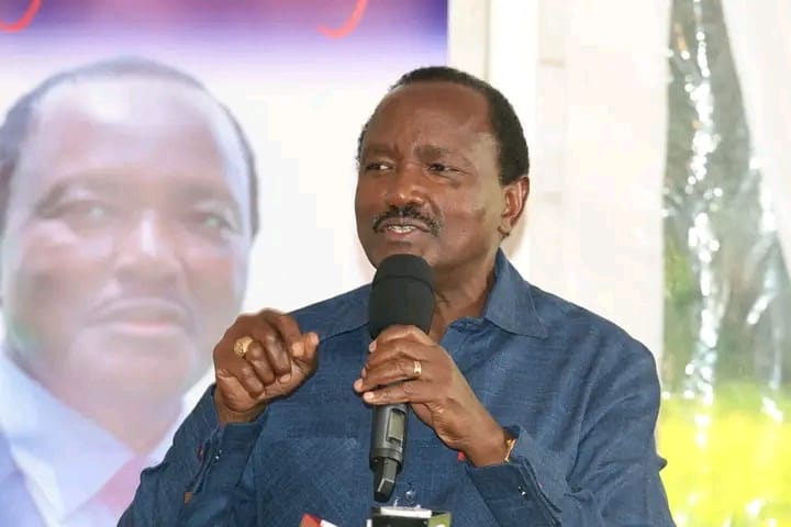 WIPER PARTY KALONZO MUSYOKA REBRANDS TO WIPER PATRIOTIC FRONT IN OFFICIAL NAME CHANGE WIPER PARTY KALONZO MUSYOKA