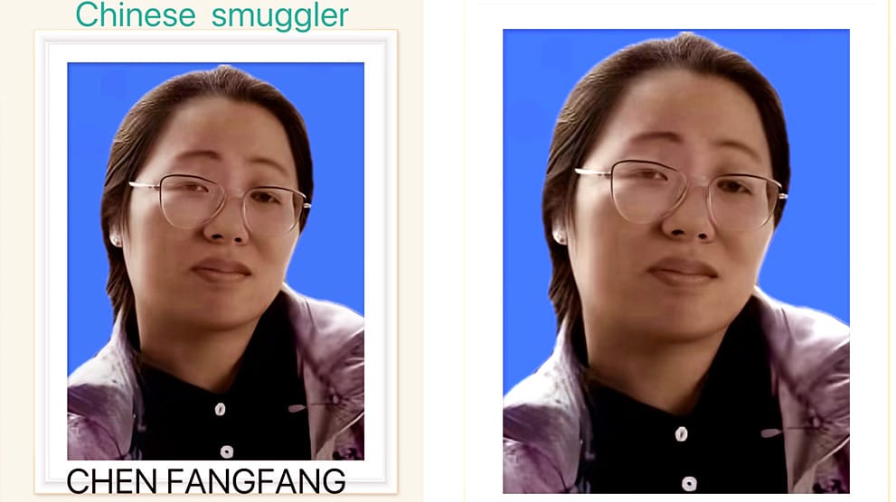 How Chen Fangfang Ran Exploited Mombasa Port to Smuggle Raw Macadamia Worth Sh200M Chen Fangfang Ran